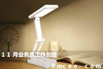 11月业务员工作总结 11月业务员工作总结