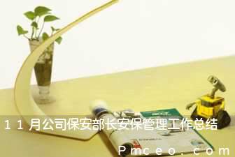 11月公司保安部长安保管理工作总结 11月公司保安部长安保管理工作总结