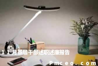 11月基层干部述职述廉报告 11月基层干部述职述廉报告