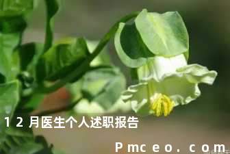 12月医生个人述职报告 12月医生个人述职报告