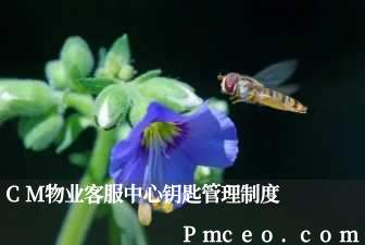 cm物业客服中心钥匙管理制度 cm物业客服中心钥匙管理制度