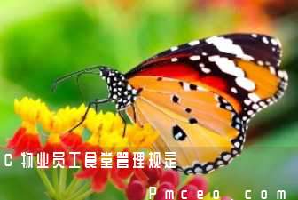 c物业员工食堂管理规定 c物业员工食堂管理规定