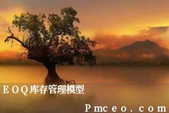 eoq库存管理模型 eoq库存管理模型