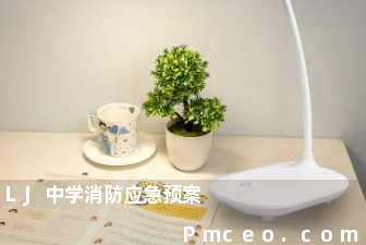 lj中学消防应急预案 lj中学消防应急预案
