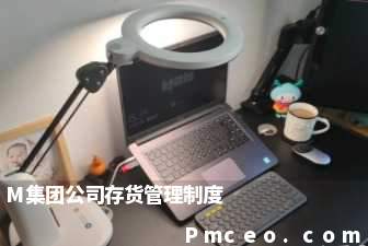 m集团公司存货管理制度 m集团公司存货管理制度