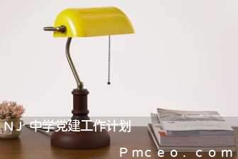 nj中学党建工作计划 nj中学党建工作计划
