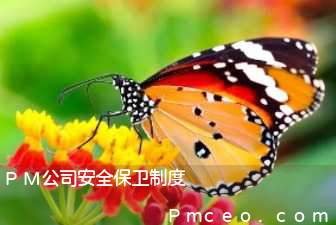 pm公司安全保卫制度 pm公司安全保卫制度