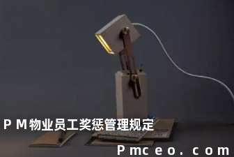 pm物业员工奖惩管理规定 pm物业员工奖惩管理规定