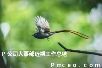 p公司人事部近期工作总结 p公司人事部近期工作总结