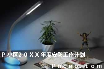 p小区20xx年度安防工作计划 p小区20xx年度安防工作计划