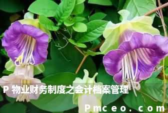 p物业财务制度之会计档案管理 p物业财务制度之会计档案管理