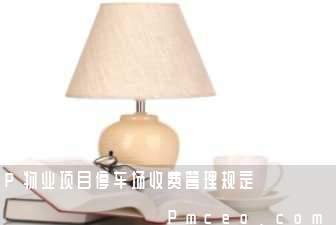 p物业项目停车场收费管理规定 p物业项目停车场收费管理规定