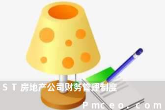 st房地产公司财务管理制度 st房地产公司财务管理制度