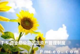 ts企业总公司固定资产管理制度 ts企业总公司固定资产管理制度