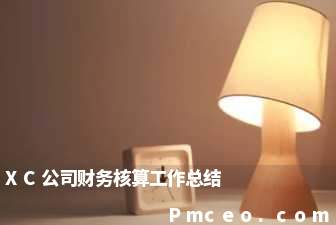 xc公司财务核算工作总结 xc公司财务核算工作总结