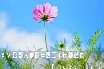 xv公司人事部年度工作计划范本 xv公司人事部年度工作计划范本