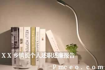 xx乡镇长个人述职述廉报告 xx乡镇长个人述职述廉报告