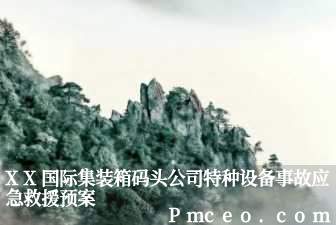 xx国际集装箱码头公司特种设备事故应急救援预案 xx国际集装箱码头公司特种设备事故应急救援预案