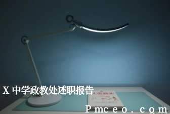 x中学政教处述职报告 x中学政教处述职报告