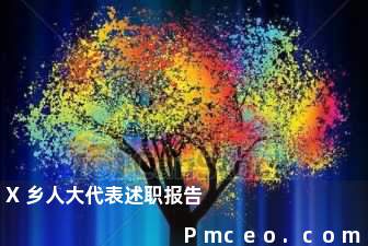 x乡人大代表述职报告 x乡人大代表述职报告