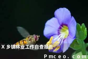 x乡镇林业工作自查报告 x乡镇林业工作自查报告