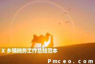 x乡镇税务工作总结范本 x乡镇税务工作总结范本