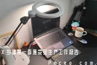 x乡镇第一季度安全生产工作报告 x乡镇第一季度安全生产工作报告