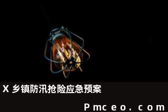 x乡镇防汛抢险应急预案 x乡镇防汛抢险应急预案
