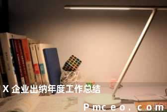 x企业出纳年度工作总结 x企业出纳年度工作总结