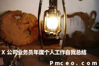 x公司业务员年度个人工作自我总结 x公司业务员年度个人工作自我总结