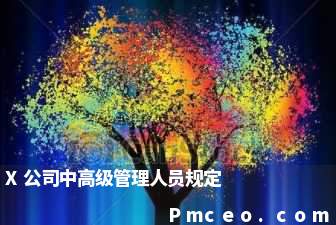 x公司中高级管理人员规定 x公司中高级管理人员规定