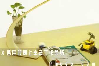 x县民政局上半年工作总结 x县民政局上半年工作总结