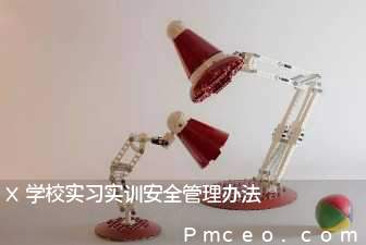 x学校实习实训安全管理办法 x学校实习实训安全管理办法