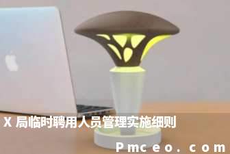 x局临时聘用人员管理实施细则 x局临时聘用人员管理实施细则