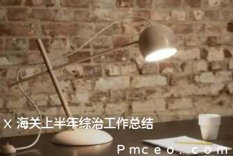 x海关上半年综治工作总结 x海关上半年综治工作总结