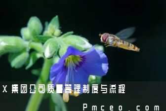 x集团公司质量管理制度与流程 x集团公司质量管理制度与流程