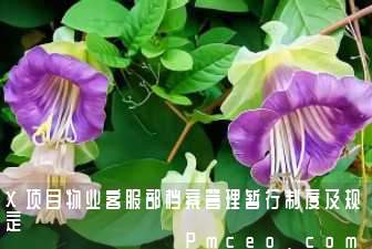 x项目物业客服部档案管理暂行制度及规定 x项目物业客服部档案管理暂行制度及规定