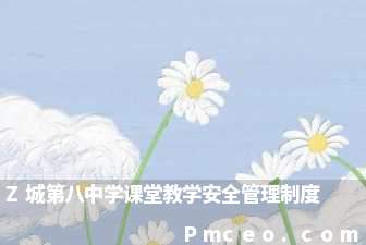 z城第八中学课堂教学安全管理制度 z城第八中学课堂教学安全管理制度
