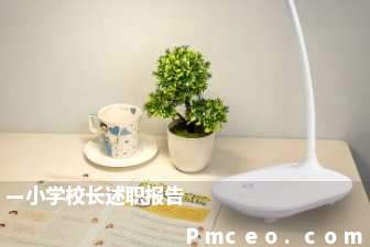 —小学校长述职报告 —小学校长述职报告