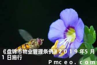 《盘锦市物业管理条例》2019年5月1日施行 《盘锦市物业管理条例》2019年5月1日施行