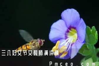 三八妇女节女教师演讲稿 三八妇女节女教师演讲稿