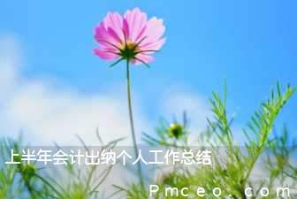上半年会计出纳个人工作总结 上半年会计出纳个人工作总结