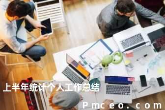 上半年统计个人工作总结 上半年统计个人工作总结