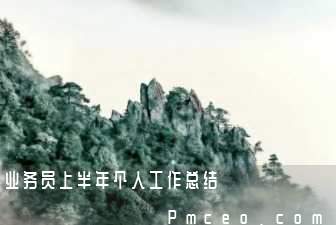 业务员上半年个人工作总结 业务员上半年个人工作总结