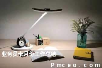 业务员十月份工作总结 业务员十月份工作总结