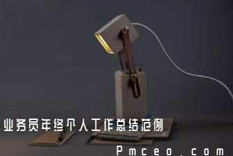 业务员年终个人工作总结范例 业务员年终个人工作总结范例
