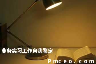 业务实习工作自我鉴定 业务实习工作自我鉴定