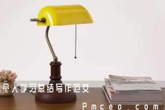 个人学习总结写作范文 个人学习总结写作范文
