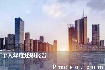 个人年度述职报告 个人年度述职报告