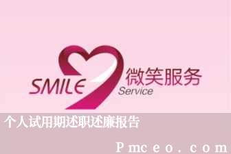 个人试用期述职述廉报告 个人试用期述职述廉报告